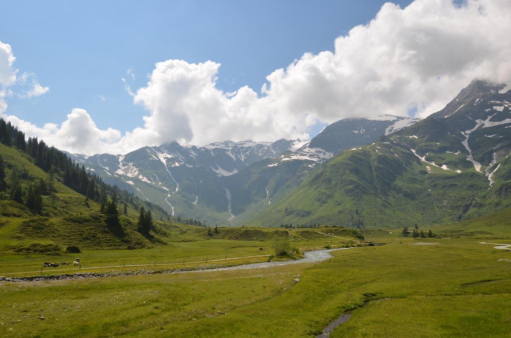 Winklers Gipfelblick Chalet, Inklusive Alpentherme - Ganzjaehrig, Gasteiner Bergbahn - Nur Sommer 巴特霍夫加施泰因 外观 照片