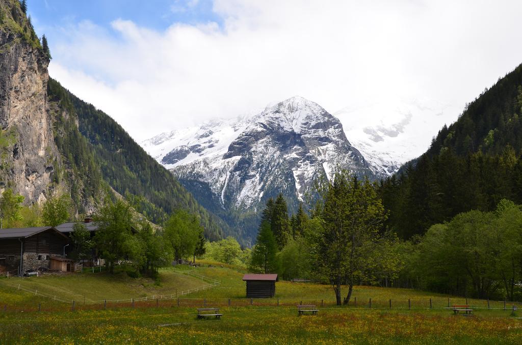 Winklers Gipfelblick Chalet, Inklusive Alpentherme - Ganzjaehrig, Gasteiner Bergbahn - Nur Sommer 巴特霍夫加施泰因 外观 照片